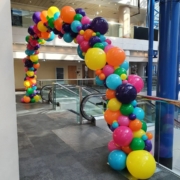 10 questions to ask when looking for balloon training. balloon training classes. Online balloon training