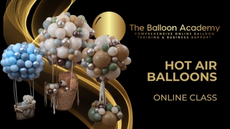 The balloon academy Hot Air Balloon displays tutorial online class